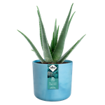 the ocean collection round 16cm atlantic blue